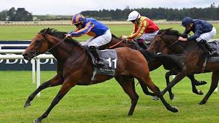 Aidan O'Brien's THE LION IN WINTER creates big impression on debut at the Curragh 