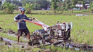 LANGSUNG GASS!! TRAKTOR SAWAH KESIANGAN MENGERJAKAN LAHAN TAPI TETAP CEPAT BEKERJA