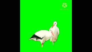 #shorts #youtubeshorts #viral #viralshorts