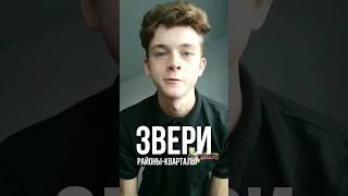 РАЗБОР "ЗВЕРИ" - "РАЙОНЫ-КВАРТАЛЫ" НА ГИТАРЕ #гитара #разборнагитаре #урокнагитаре #уроки_гитары