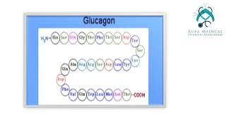 Metabolism Module Session 8 -Lecture 2"The endocrine pancreas"\By KMSA