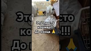 Ну это п***** товарищи!!!