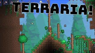 DAS ERSTE ABENTEUER | TERRARIA