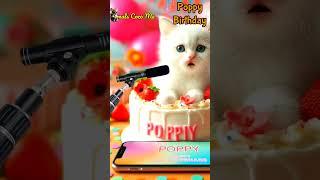 HAPPY BIRTHDAY POPPY | HAPPY BIRTHDAY SONG WITH NAMES | Adorable Cute Cat   #happybirthday