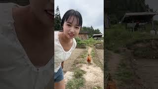 A big rooster that can understand human language has become a fighter among roosters