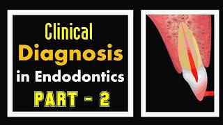 Diagnosis in Endodontics | Part 2