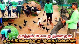 1/2 ஏக்கரில் ஒருங்கிணைந்த இயற்கை விவசாயம் | அசத்தும் 19 வயது இளைஞன்| Integrated Organic Farming