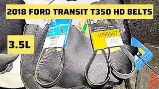 Belts for 2018 Ford Transit T350 HD