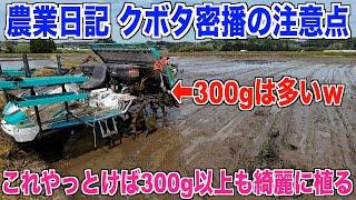 【密播の注意点】種蒔き300g以上のデメリット 30代米作り奮闘記#355