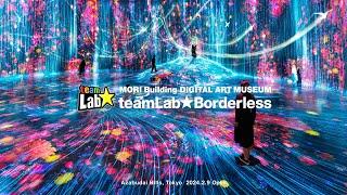 teamLab Borderless Highlight Video