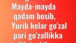 Zohid mayda mayda 2020 lyrics.