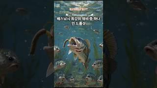 배스낚시 최고의 드롭샷웜 #bassfishing   #배스낚시 #배스