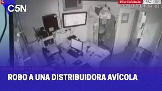 ROBO a una DISTRIBUIDORA AVÍCOLA