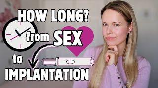 How Soon After Sex Can You Get Pregnant | How Long After Sex Does Implantation Occur | TTC