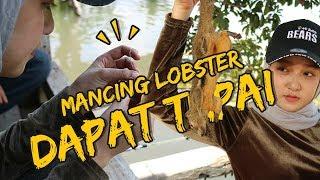 MANCING LOBSTER DAPAT TUPAI DI LEBONG #VLOG #RIANSAGIT #HOLIDAY