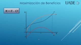 Maximización de Beneficios