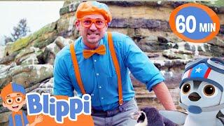 Blippi Learns About Penguins at the Zoo | Fun with Blippi! | Blippi Educational Songs for Kids