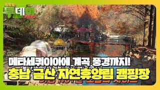 몸도 마음도 든든! 이국적 풍경의 충남 금산군 캠핑 #생방송투데이 #LiveToday #SBSstory