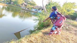 Village Fisher Men Catch Net Fishing Video | Amazing Rohu Net Fishing | Best Net Fishing