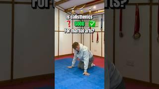 Is CALISTHENICS good for martial arts?