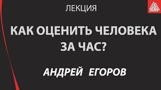 Использование индивидуальных психологических отличий в бизнесе.  Егоров Андрей