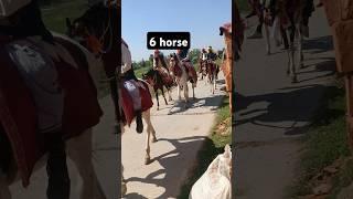 six house very smart smart horse 6 horsepower of Indian horse