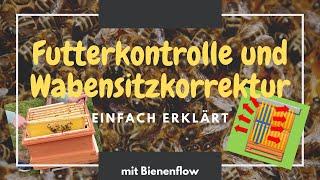 Futterkontrolle und Wabensitzkorrektur