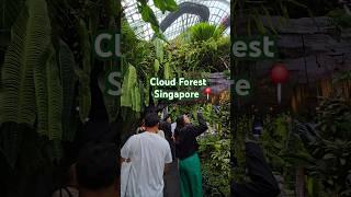 Cloud Forest Singapore #singapore #gardenbythebay #cloudforest #visitsingapore #singaporevideos