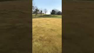 First roll of the year! #golfcoursevlog #golfcoursemaintenance