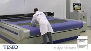 EPC 273 - Teseo Cutting Systems