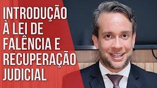 INTRODUÇÃO À LEI DE FALÊNCIA E RECUPERAÇÃO JUDICIAL - Direito Empresarial