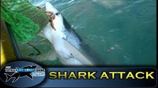 Shark Attacks Boat - Totally Awesome Fishing