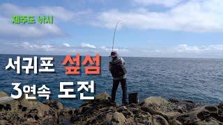 〔4K〕3연속 섶섬 도전/연속 참패 후 오기의 출조/섶섬의 명 포인트에서 긴꼬리벵에돔 낚시/Seafishing in Jeju-do Island, Korea