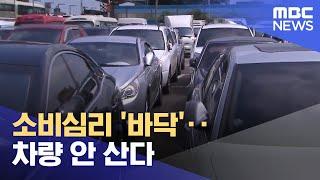 소비심리 '바닥'‥차량 안 산다 (2024.02.23/뉴스데스크/광주MBC)