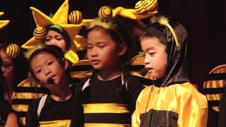 Primary Bee Musical 2017