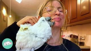 Cockatoo Was Left Alone, Now She Wants Cuddles All The Time | Cuddle Buddies