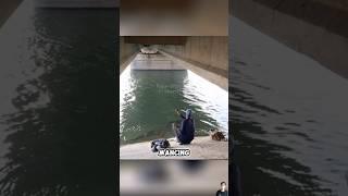 MANCING DI BAWAH JEMBATAN#shorts #shortvideo #viral