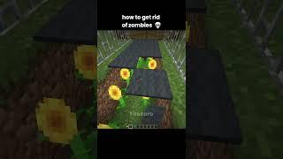 Minecraft Zombie Moment