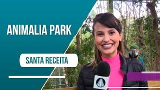 Diversão nas férias: conheça o Animalia Park!