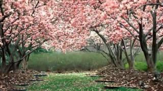Antonio Vivaldi: La Primavera
