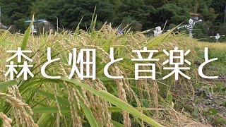 【NORA】「森と畑と音楽と」へようこそ！