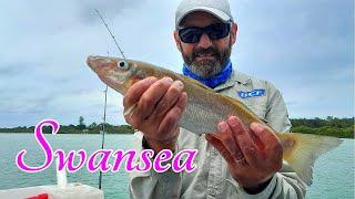 Catching A Feed fishing in Swansea channel.