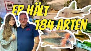 CORYDORAS richtig halten und züchten - Expertenwissen & Tipps von Dirk Jansen (50 Jahre Erfahrung!)