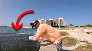 Fishing The ORANGE BEACH Seawall