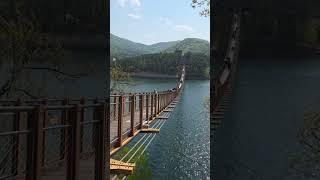 파주 명물?스릴과 멋진 풍경까지!마장호수 출렁다리 #travel #vlog #nature