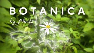 Introducing Botanica by Phritz