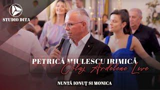 @PetricaMiulescuIrimica - Colaj Ardelene LIVE  Nunta Ionut & Monica