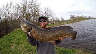 GIANT BOWFIN IN APRIL Cast to Catch