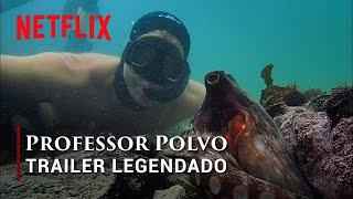 Professor Polvo • Trailer Legendado [Netflix]