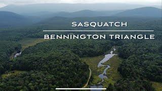 Sasquatch : The Bennington Triangle